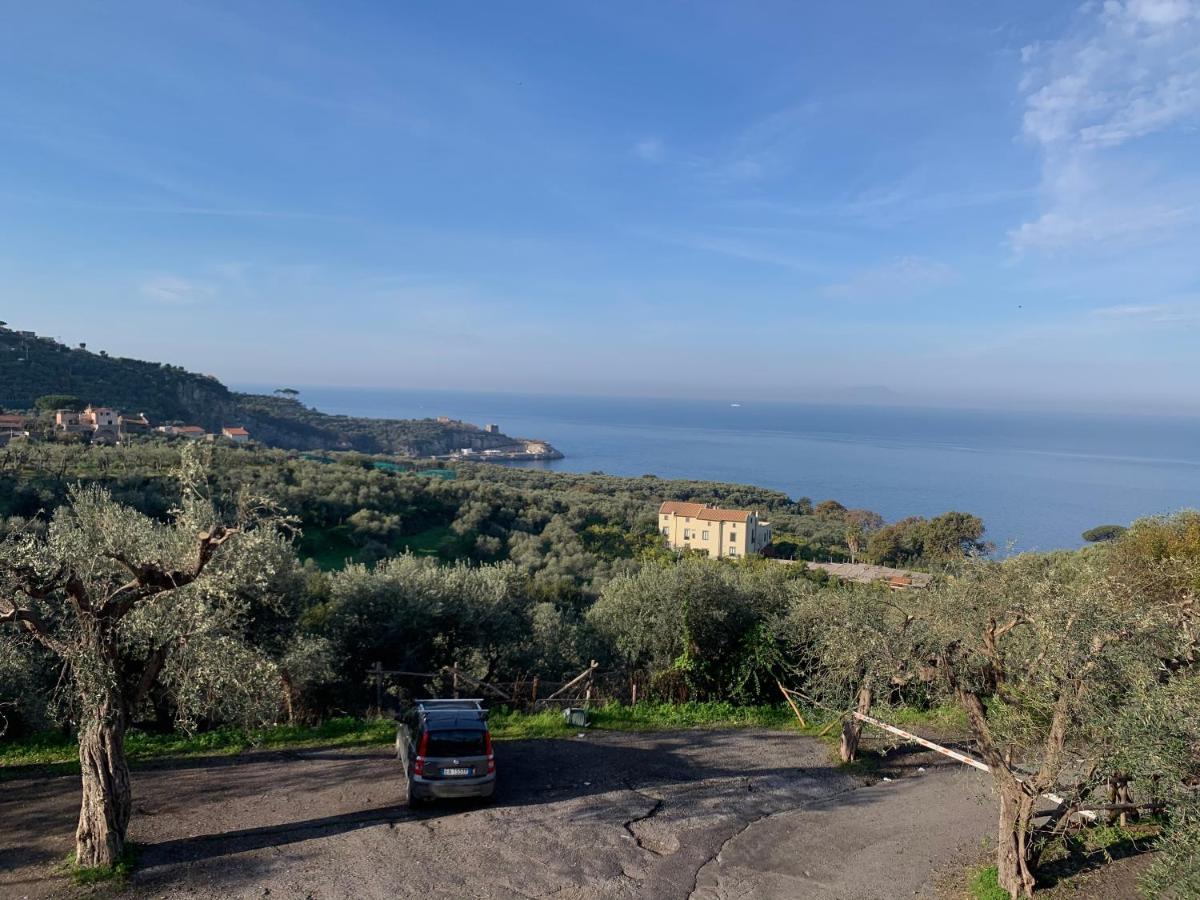 La Dimora Di Cornelia Aparthotel Sorrento Eksteriør bilde