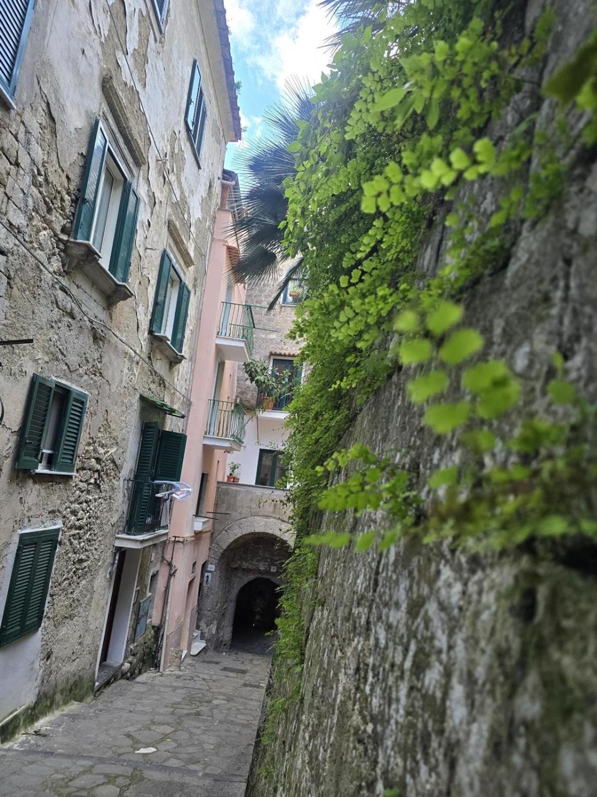 La Dimora Di Cornelia Aparthotel Sorrento Eksteriør bilde